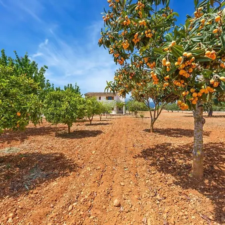 Finca Can Soler *
